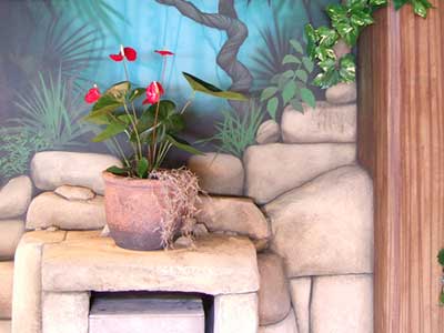 Portfolio Image