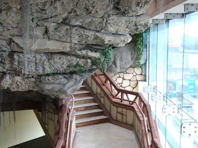 Portfolio Image